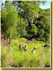 Pique-nique et farniente au Camp Catta Madagascar