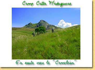 Carte postales du Camp Catta